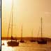 sunset sailboat stock photos
