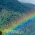 amazon rainbow stock photos