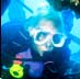 underwater scuba stock images
